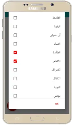 Raad Al Kurdi Quran Offline android App screenshot 2